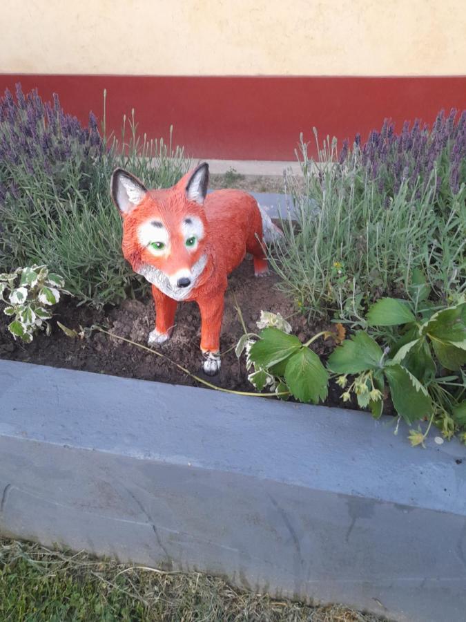 Fox Apartmanok Хевиз Экстерьер фото